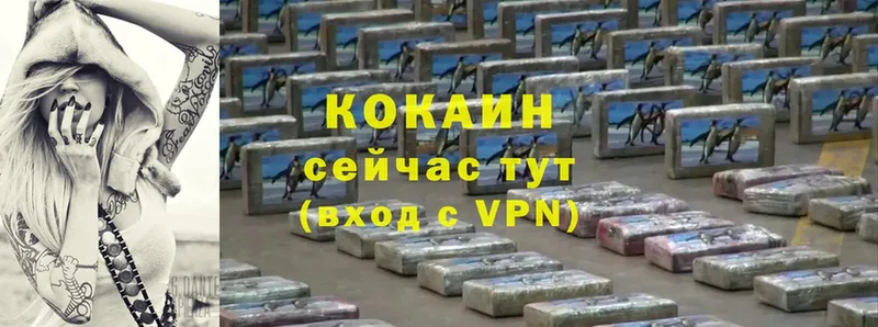 COCAIN VHQ  Кимовск 